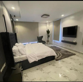 Luxury Apartment Away from Home